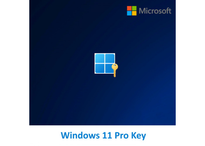 Buy Windows 11 Pro License Operating System Key For Company Home And Business In The Online 8573